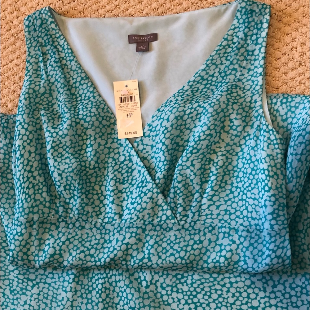 Beautiful AT Petite 💯% Silk Dress